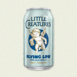 Little Creatures Flying Low