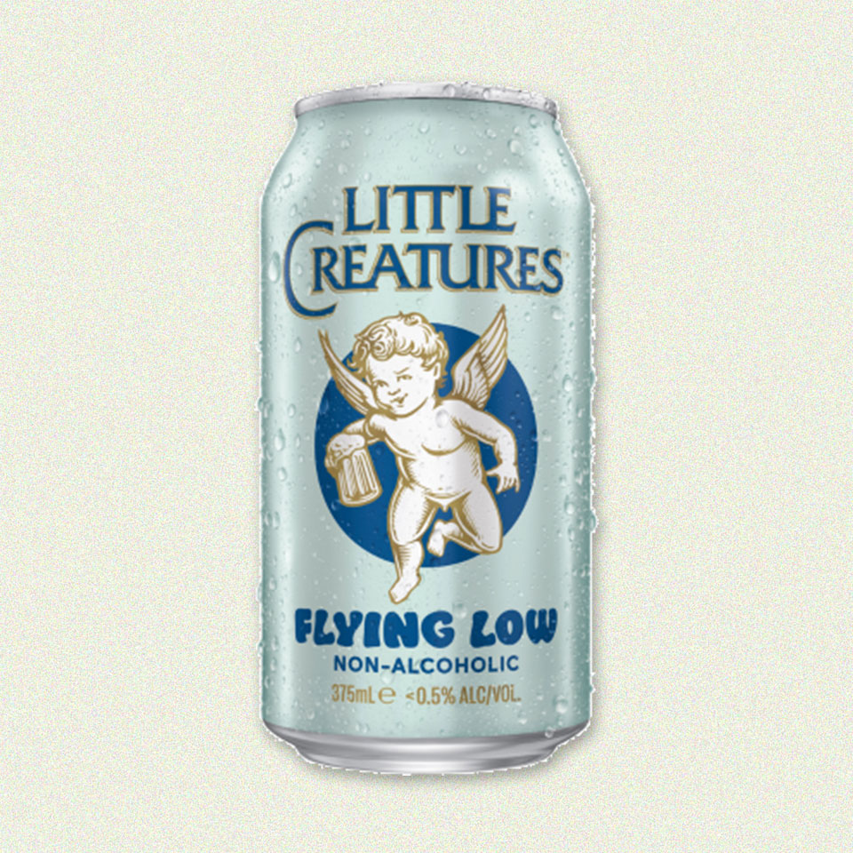 Little Creatures Flying Low