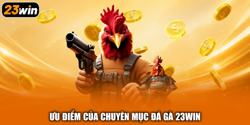Ưu điểm của chuyên mục đá gà 23win